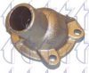 TRICLO 464293 Coolant Flange